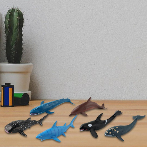 Tt Animal Marino Modelo Aprendizaje Ballena Tiburón Azul