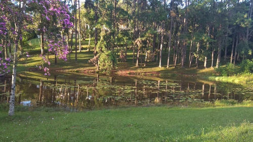 Imagem 23 de 30 de Sítio Alto Padrão Com Linda Vista Panorâmica - 64 - 33682306