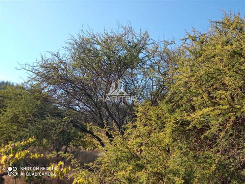 Se Vende Parcela De Agrado En Santa Rosa De Lavaderos Maule