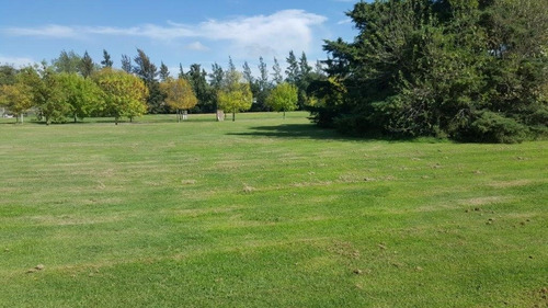 Imagen 4 de 14 de Terreno Lote En Venta Ubicado En Tortugas Country Club, Pilar, G.b.a. Zona Norte
