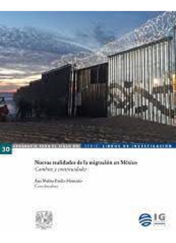 Nuevas Realidades De La Migración En México Cambios Y Contin