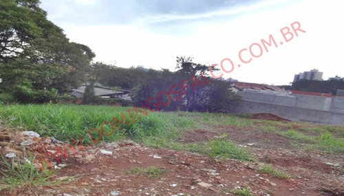 Imagem 3 de 13 de Venda - Terreno - Jardim São Domingos - Americana - Sp - D1313
