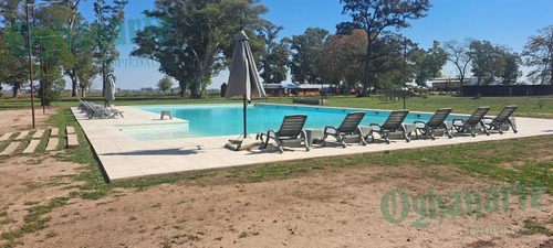 Imagen 4 de 18 de Oferta - Venta Lote En Tres Pinos - Gral. Rodriguez.