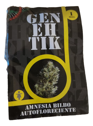 Semilla De Colección Amnesia Bilbo Auto X1 - Genehtik