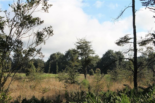 Imagen 14 de 30 de Agrícola En Venta En Puerto Varas