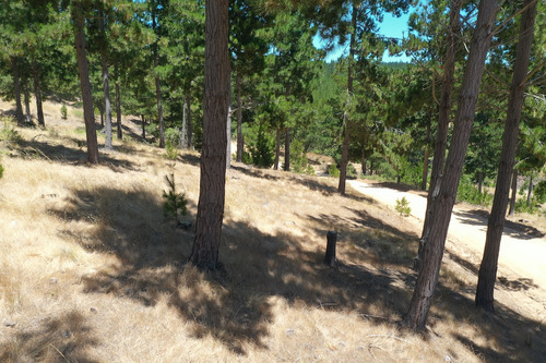 Excelente Terreno En Boyeruca