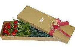 Diselo Con Rosas Hermosa Caja Con Flores Envio +regalo +mp