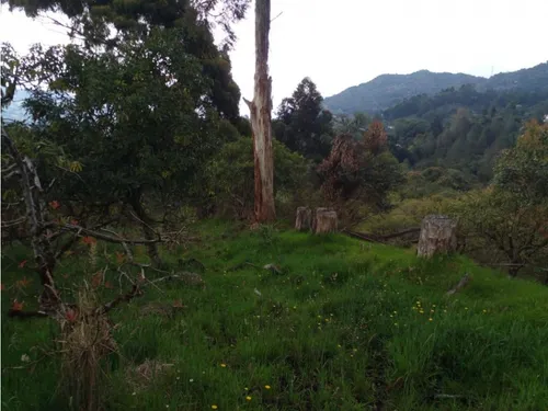 Lote En Vender En La Ceja
