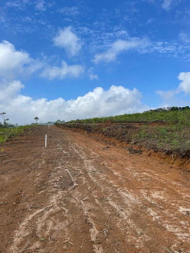 Imagem 6 de 30 de 51- Vendo Terreno Por 60 Mil Em Mogi Das Cruzes