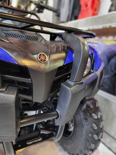 Imagen 8 de 13 de Yamaha Grizzly 300 Excelente Estado Tamburrino Motos
