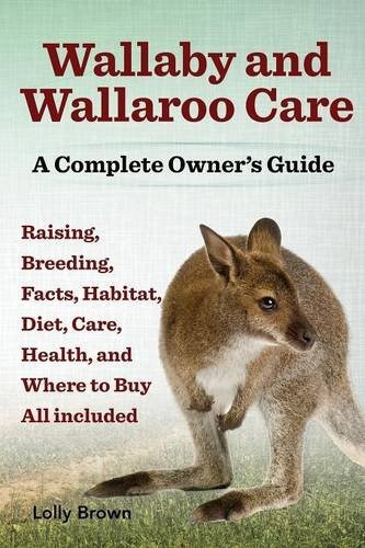 Wallaby Y Wallaroo Cuidan La Crianza Habitat Cuidado De La S