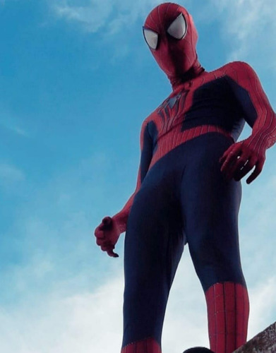 Imagen 2 de 5 de Hombre Araña