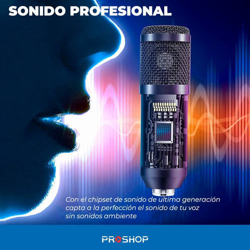 Microfono Condensador Condenser Profesional Estudio Bm900 !