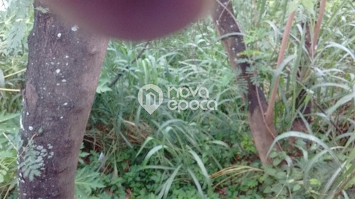 Imagem 10 de 16 de Terreno - Ref: Co0tr31836