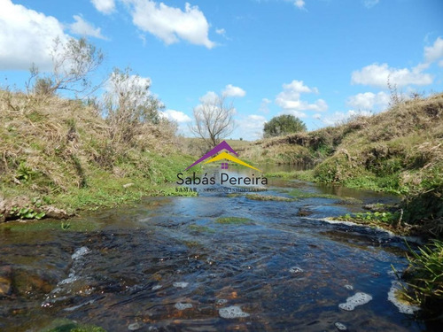 Imagen 24 de 24 de Chacra En Venta 15ha, Ruta 12 Lavalleja