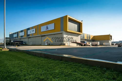 Arriendo Bodega De 225 M2 En Sector Miraflores, Renca.