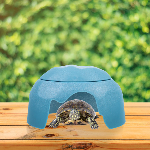 Los Reptiles Animales Se Esconden De La Tortuga De Las Cueva