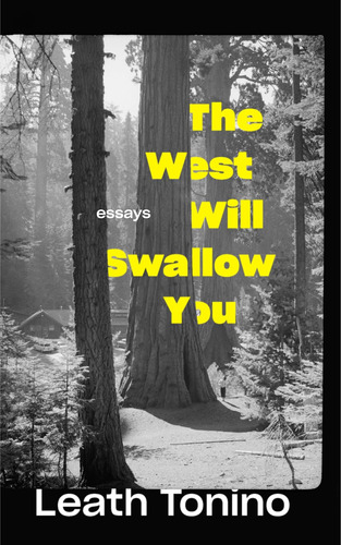 Libro:  The West Will Swallow You: Essays