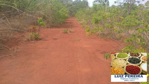 Imagem 8 de 15 de Fazenda Á Venda Em São Valerio - To - De 225 Alqueirões - 1586