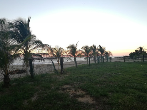 Imagen 6 de 14 de Vendo Terreno En Acapulco Pie De La Cuesta Frente De Playa
