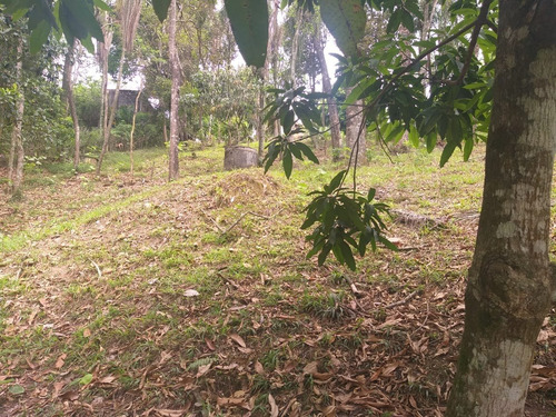 Imagem 1 de 9 de Terreno À Venda, Parque Pretoria - Franco Da Rocha/sp - 2171