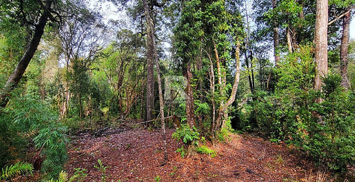 Cabaña En Parcela Con Hermoso Bosque Nativo En Puerto Varas