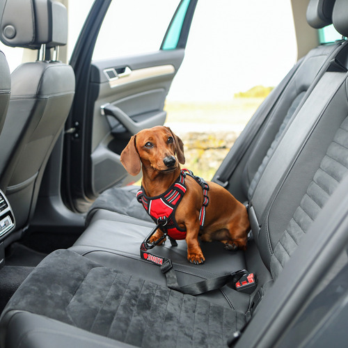 Kong Travel Cinturón De Seguridad Simple Para Perros Negro Unico