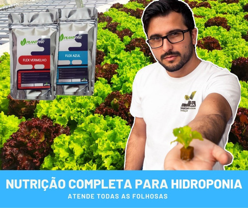 Imagem 1 de 6 de Solução Nutritiva Para Hidroponia - 1.000 Litros (folhosas)