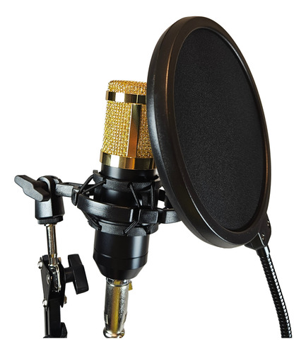 Kit Streaming Microfono Estudio Atril Filtro Bm800k Cipriani
