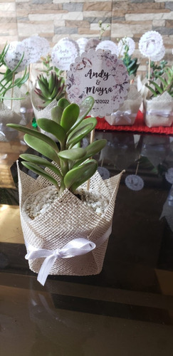Imagen 2 de 8 de Regalo Suculentas Cactus, Recuerdo Promoción, Matri Misa Año