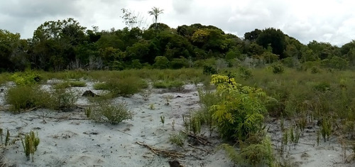 Fazenda / Sitio No Baixo Sul Da Bahia 15 Hectares, Localizada Na Ilha Do Timbuca Ba Proximo Ao Povoado De Pescadores Portinho.  