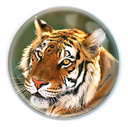 Magnidome - Tiger De Deluxebase. Vaso De Cristal Big Cat Vie