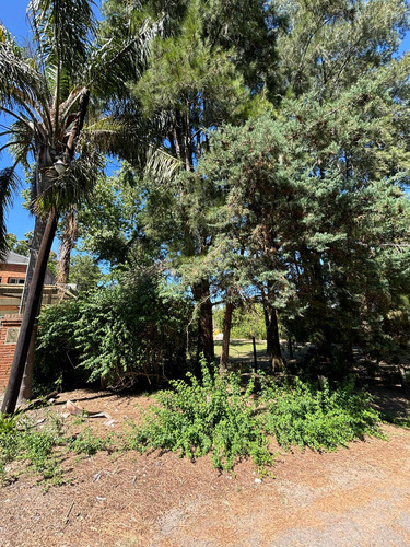 Lote En Barrio Carmencito Excelente Ubicación