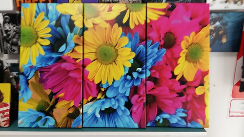 Cuadro 40x60cm Margaritas Flores Colores Flora