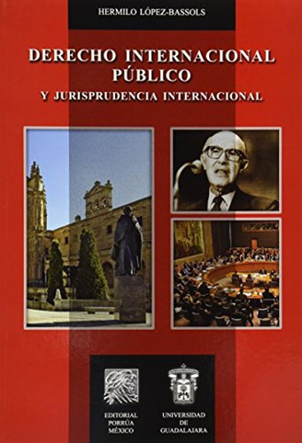 Libro: Derecho Internacional Público Y Jurisprudencia Intern