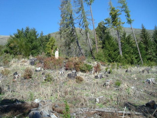 Imagen 3 de 20 de Terreno - Villa Mascardi