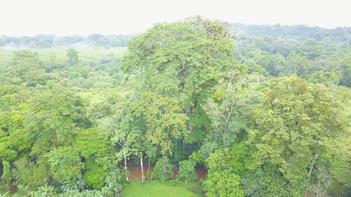 Imagen 1 de 10 de Excelente Finca, Lo Que Busca , Agrícola, Ganadera, Bosque