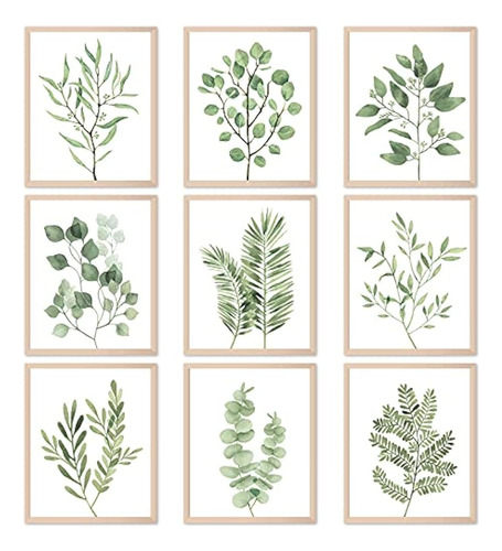 ~? 9pcs Impresiones De Arte De Pared De Plantas Botánicas De