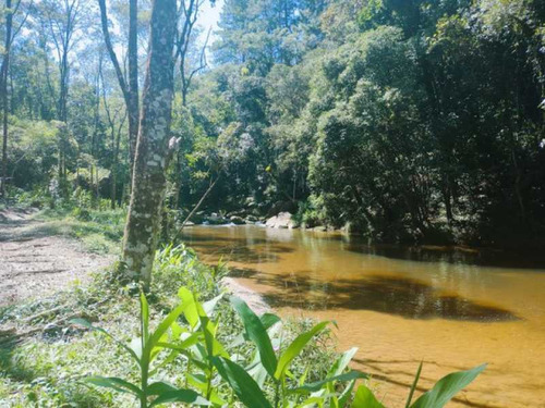 Imagem 10 de 14 de 20.000m² Pura Natureza - Bilt00183