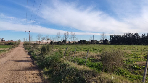 Campo 2 Hectáreas Zona Rutas 5 Y La 48 Alquiler