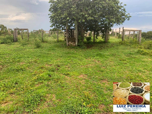 Imagem 2 de 15 de Fazenda À Venda Em Monte Santo - To - De 83 Alqueirões (dupla Aptidão) - 1623