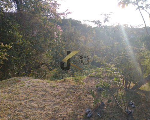 Imagem 7 de 7 de Terreno - Te04123 - 69473913