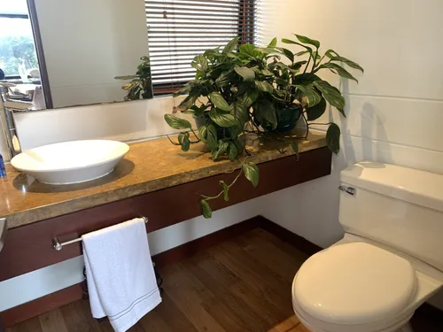 Casa En Venta En Arboretto. Cod V97230