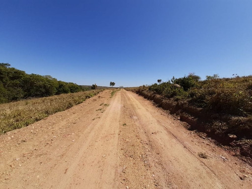 Imagem 9 de 10 de Chácara Com 1 Dormitório À Venda, 20000 M² Por R$ 295.000,00 - Zona Rural - Abadiânia/go - Ch0109