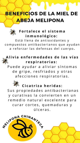 Miel Virgen De Abejas Meliponas Pack (20ml, 100ml, 250ml)