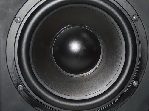 Focal Cub 2 Subwoofer Teatro En Casa (Usado)