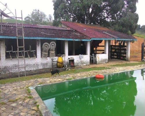 Imagem 2 de 30 de Fazenda - 0195 - 32820324