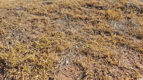 Imagem 10 de 11 de Lote / Terreno Em Loteamento Greenfield - Atibaia - 11520