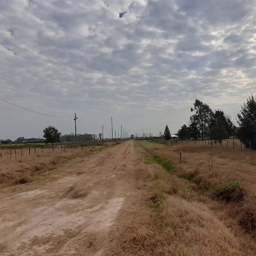 Imagen 4 de 9 de Lote En Venta En San Vicente