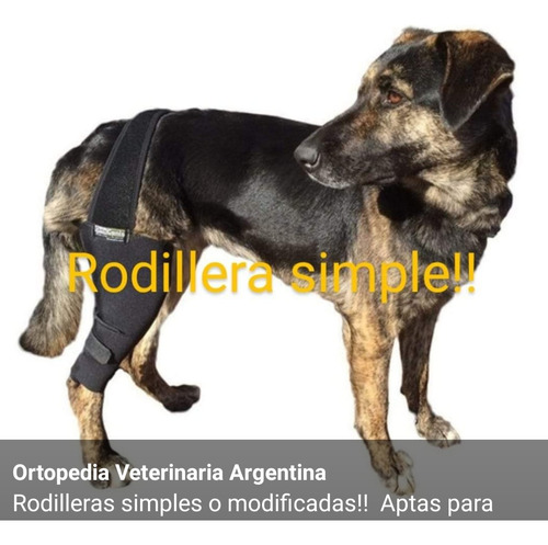 Rodillera Para Perros Mini Toy.